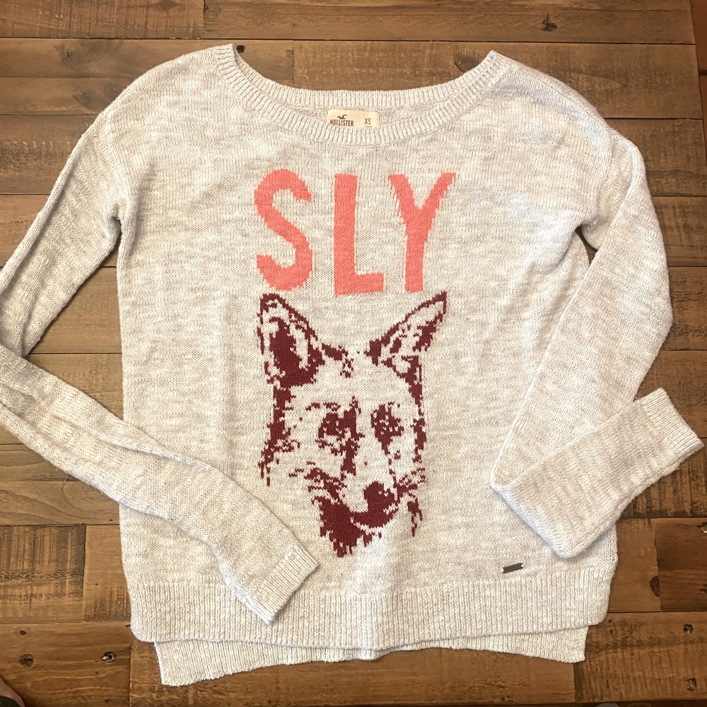 Hollister Sly Fox 🦊 Sweater